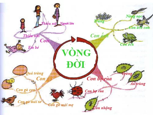 vong-doi-2-8178-1395914381