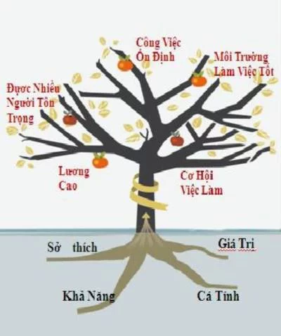 nghe-phu-hop