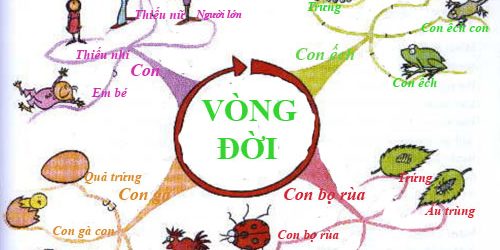 vong-doi-2-8178-1395914381
