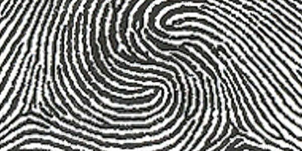 tính cách qua dấu vân tay tính cách qua dấu vân tay