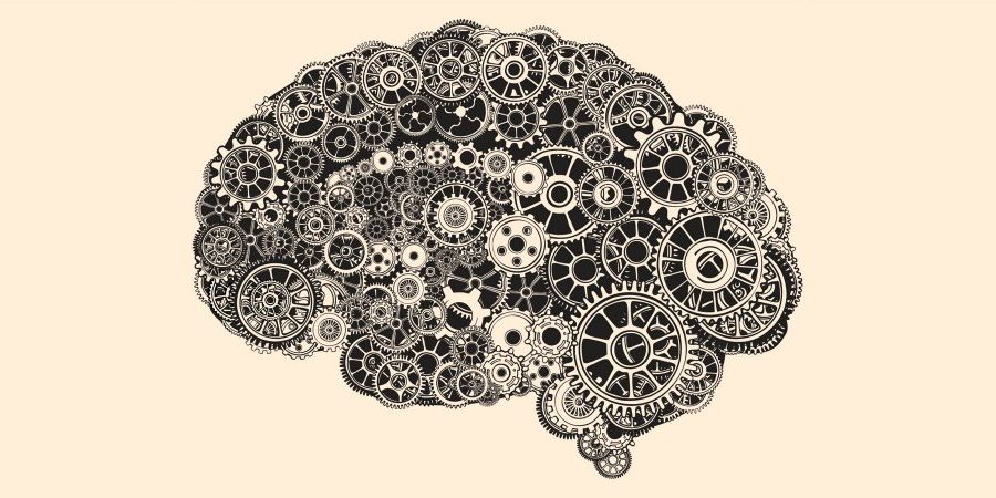 brain-illustration-1940x900_35269