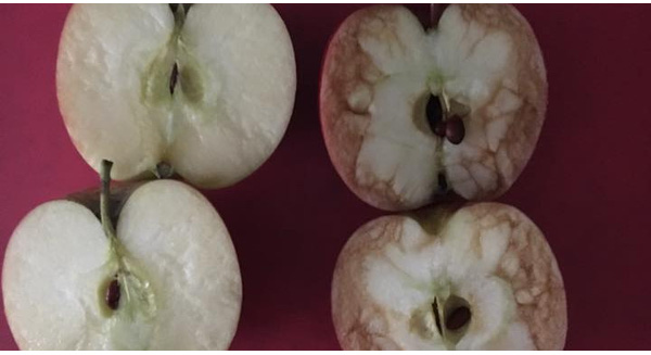 13507064-1651876848470287-6284833155817230223-n-1466825146870-crop-1466825182647-crop-1466826707645