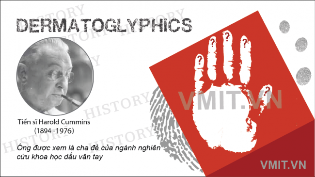 sinh trắc học vân tay