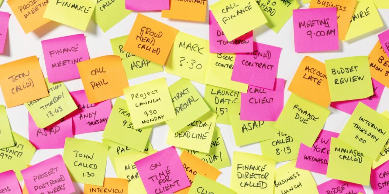 b2bf9329-4ca0-42fa-8206-54c557927c19